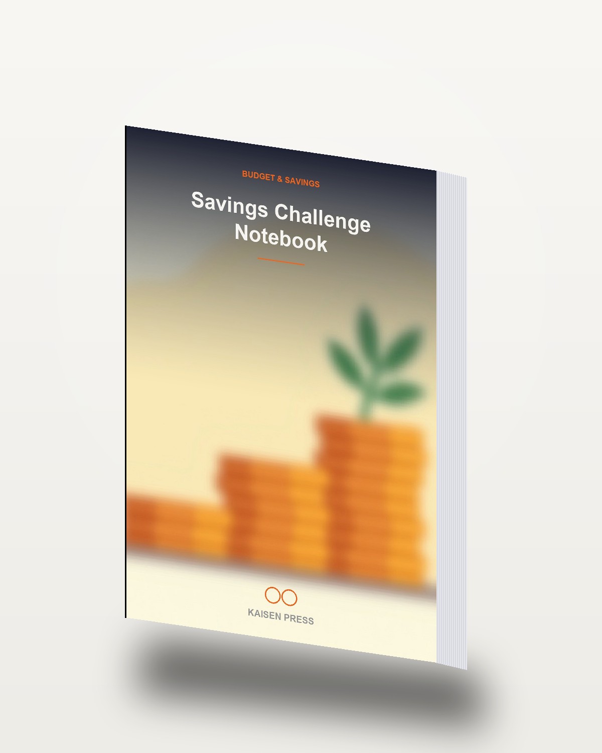 Savings Challenge Notebook